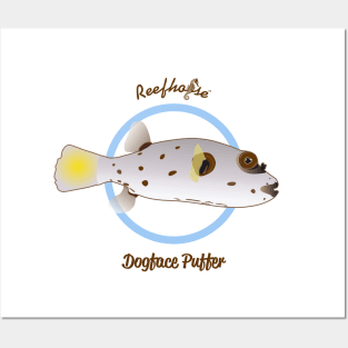 Dogface Puffer Posters and Art